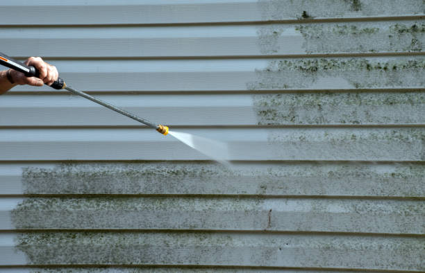 Best House Exterior Washing  in Ridgefield, WA
